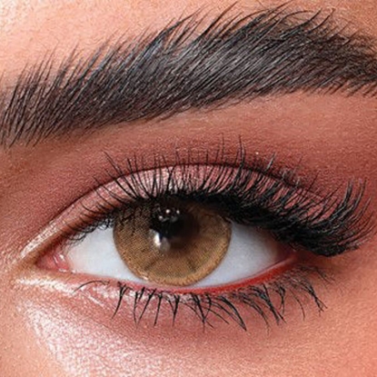 بيلا ون داي هازل بيج