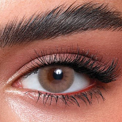 بيلا إيليت ساندي براون