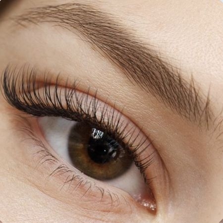 صورة للفئة الرموش والحواجب