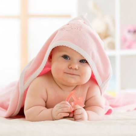 صورة للفئة عضاضات التسنين