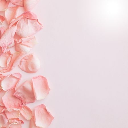 صورة للفئة فوط صحية